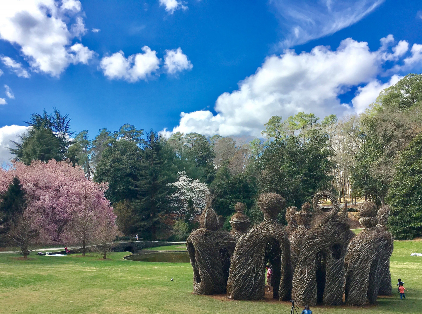 The Big Easy (2017) Sarah P Duke Gardens of Duke University, Durham, NC.  © Photo: Bill Lefevre.