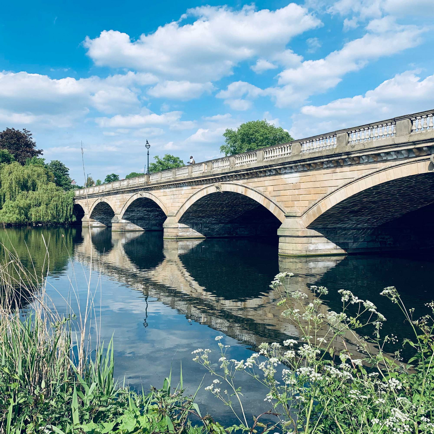 This was taken on 7th May 2020 at Kensington Gardens. In combinations with the reflections it's like Pac-Man. © Yeliz Haslak